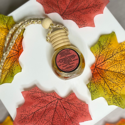 Pumpkin Spice & Apple Cider Car Diffuser – Crystal Infused
