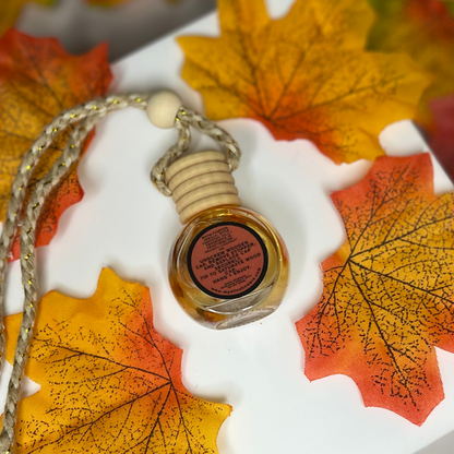 Pumpkin Spice & Apple Cider Car Diffuser – Crystal Infused